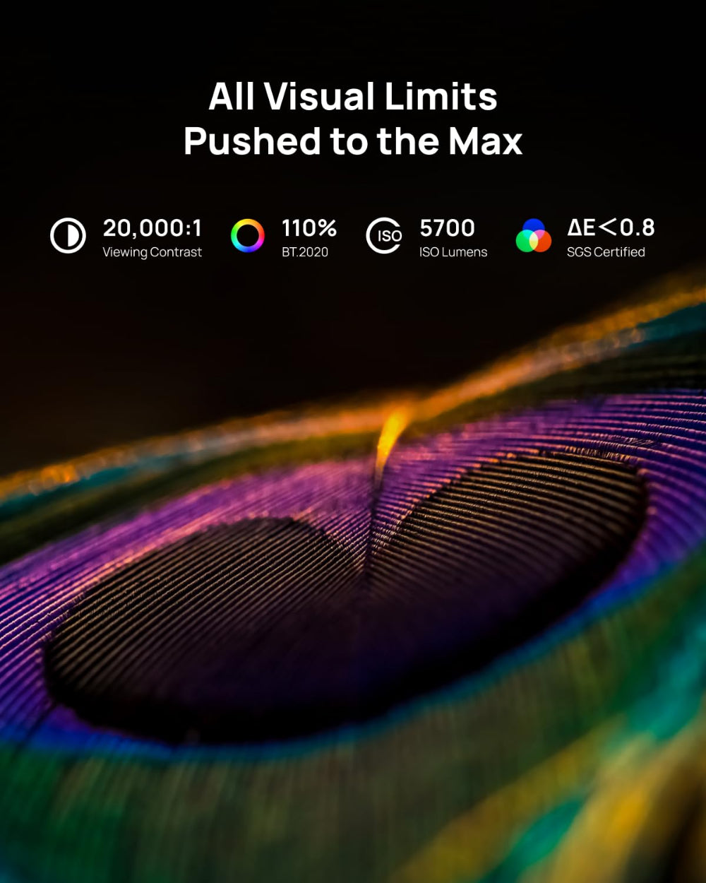 Horizon 20 Max